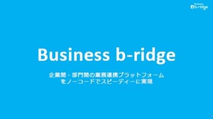 b-ridgeDoc