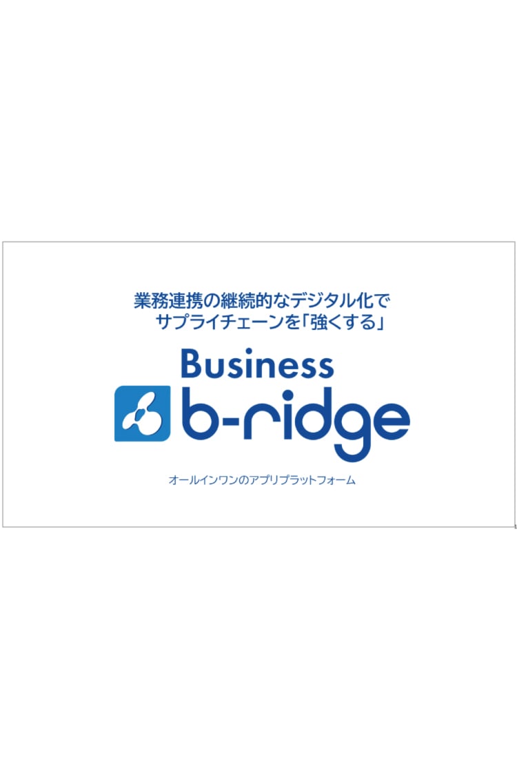 Business b-ridge<br>製品説明資料